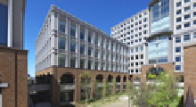 武蔵野大学 看護学部