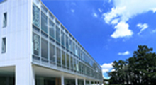 東邦大学健康科学部